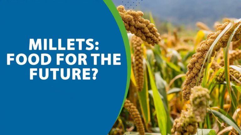 India's Millet led growth: From Overlooked Ragi to Global Superfood
